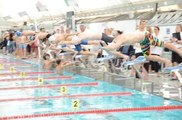 Wettkampf-Schwimmer springen gleichzeitig von Startblöcken in ein Schwimmbecken mit mehreren Bahnen.
