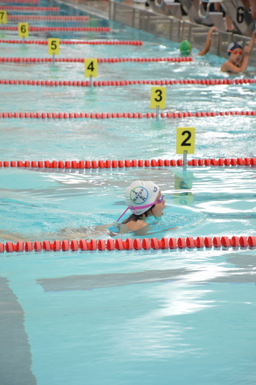 Schwimmerin mit Bademütze und Schwimmbrille im Wasser eines Wettkampfbeckens, getrennt durch orangefarbene Bahnmarkierungen.