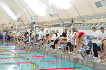 Schwimmer auf Startblöcken an einem Wettkampfbecken, während Zuschauer und Trainer im Hintergrund zugucken.