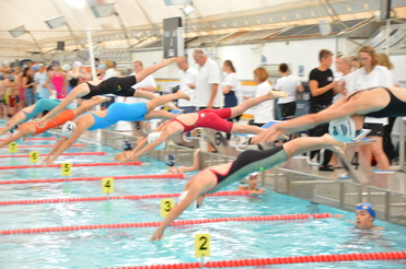 Schwimmerinnen springen gleichzeitig ins Wasser eines Wettkampfbades, während Zuschauer im Hintergrund gespannt zuschauen.