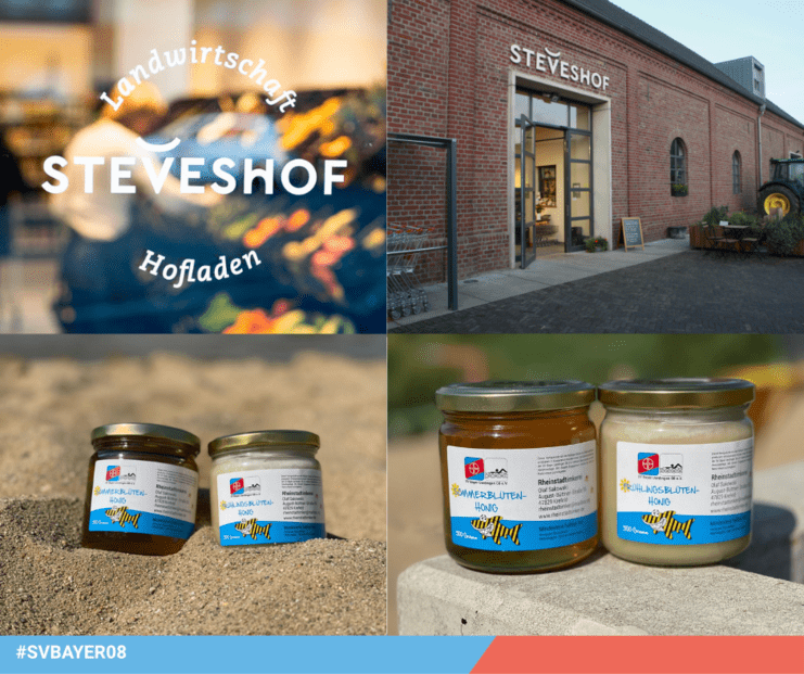 Logo des Steveshofs, Außenansicht des Hofladens, sowie zwei Honiggläser auf einem sandigen Untergrund.