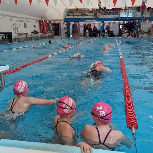 Gruppen von Schwimmerinnen mit rosa Badekappen trainieren im Hallenbad in einem Schwimmbecken mit markierten Bahnen.