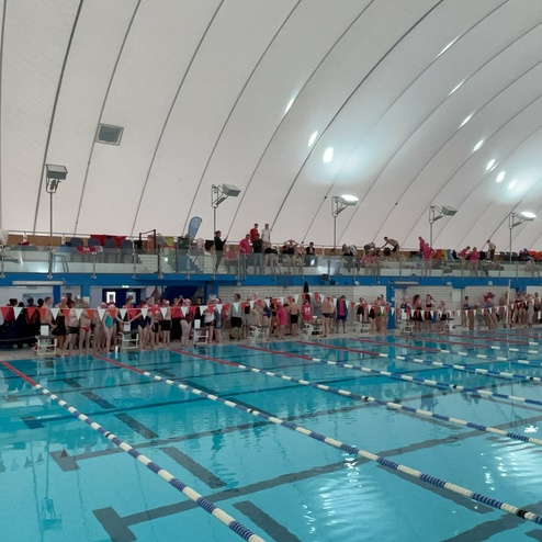 Blick auf ein Schwimmbecken mit Schwimmern in den Startblöcken und Zuschauern auf einer Tribüne im Hintergrund.