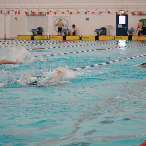 Mehrere Schwimmer trainieren in einem Hallenbad mit blauer Wasseroberfläche und rot-weißem Wimpelbanner.