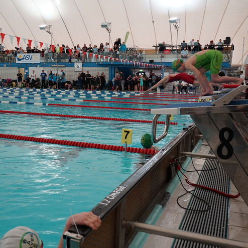 Zwei Schwimmer starten beim Wettkampf im Hallenbad, Zuschauer stehen an der Seite der Bahn.
