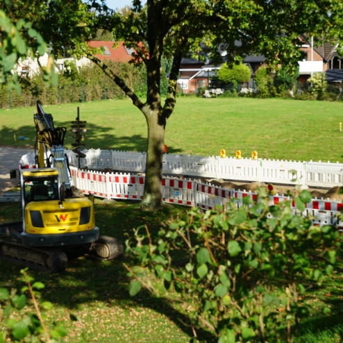 Bagger steht auf einer Wiese neben einem Baustellenbereich mit einer wei&szlig;en Absperrung und Sonnenblumen.