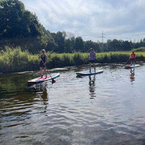 Vier Personen paddeln auf Stand-Up-Paddle-Boards auf einem ruhigen Gewässer umgeben von grüner Ufervegetation.