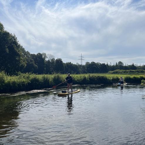 Zwei Personen paddeln auf Stand-Up-Paddle-Boards auf einem ruhigen Gewässer umgeben von grüner Ufervegetation.