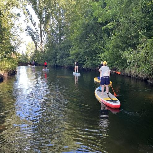 Fünf Personen paddeln auf Stand-Up-Paddle-Boards auf einem stillen Gewässer, umgeben von Bäumen.