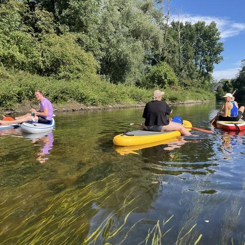 Vier Personen paddeln entspannt auf Stand-Up-Paddle-Boards in einem ruhigen Gewässer, umgeben von grüner Ufervegetation.