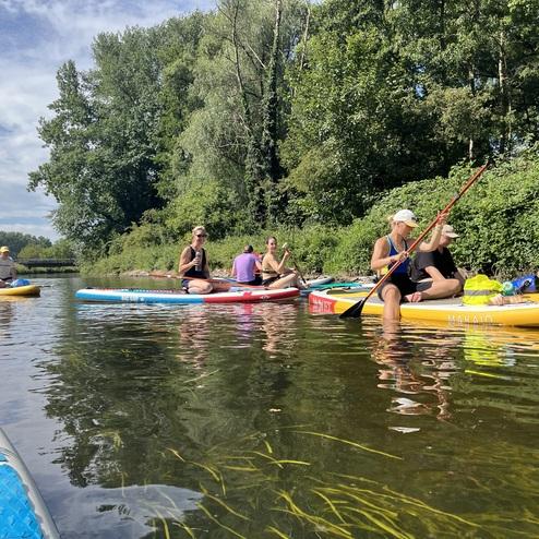 Mehrere Personen auf Stand-Up-Paddle-Boards paddeln entspannt auf einem ruhigen Gewässer umgeben von Ufervegetation.