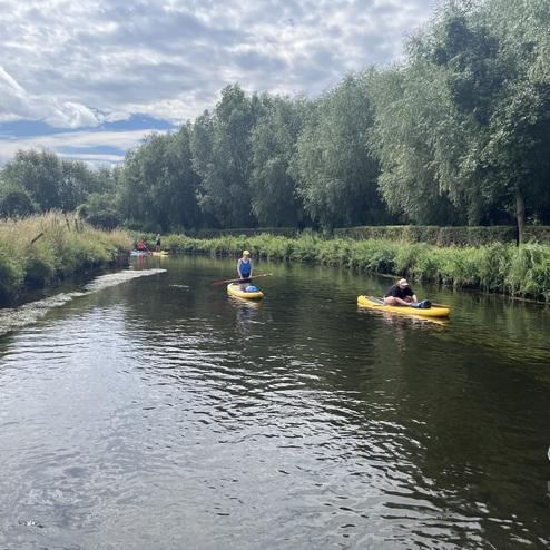 Drei Personen paddeln auf gelben Kajaks und einem Stand-UP-Paddle-Board auf einem ruhigen Gewässer zwischen Bäumen.