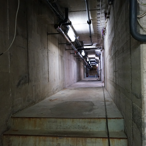 Langer, schmaler Gang mit Betonwänden und dimmbarer Beleuchtung, endet in der Ferne, an einem Treppenabgang.