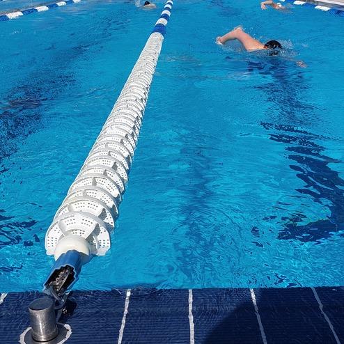 Schwimmer in einem blauen Pool, umgeben von Palmen und Gebäuden, mit einer Schwimmmarke in der Mitte der Bahn.