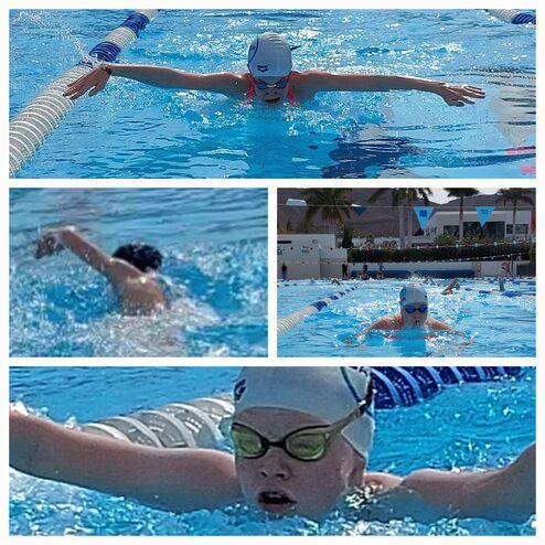 Mehrere Schwimmer trainieren in einem blauen Schwimmbecken, einige im Wettkampfmodus, andere im Training.