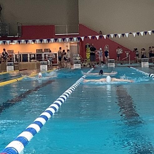 Schwimmer im Wasser während eines Wettkampfs in einem Hallenbad, umgeben von Zuschauern und bunten Fahnen.