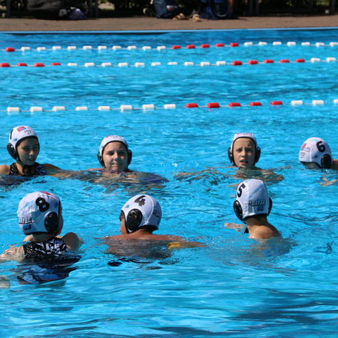 Wasserpolospieler stehen in einem Pool und diskutieren strategisch, w&auml;hrend die rote und wei&szlig;e Schwimmbahnmarkierung sichtbar ist.