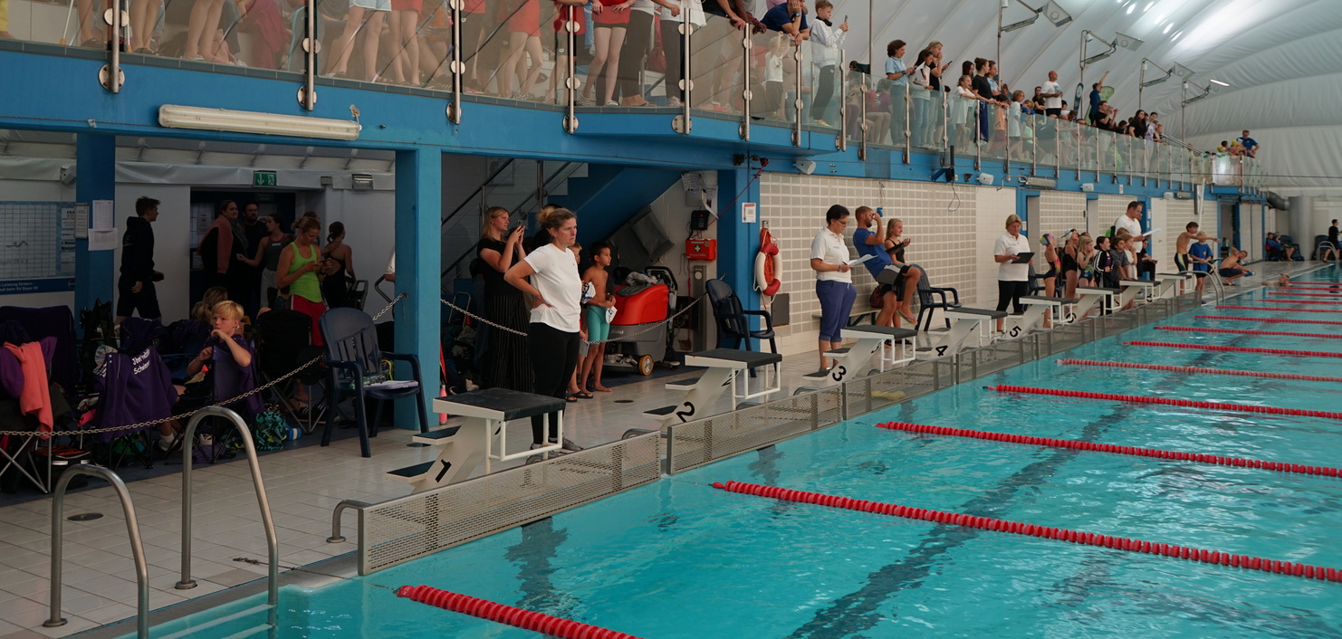 Zuschauergruppen in Sportjerseys applaudieren von der Trib&uuml;ne eines Hallenbades w&auml;hrend eines Schwimmwettkampfs.