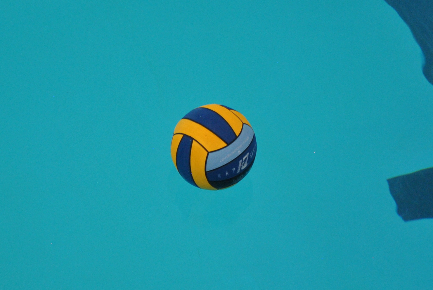 Wasserball schwimmt auf der Oberfläche eines blauen Schwimmbeckens, mit markierten Linien im Hintergrund.