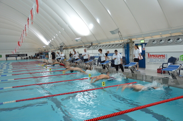 Schwimmer starten gleichzeitig in einem Hallenbad, beobachtet von mehreren Kampfrichtern. Rote und blaue Bahnmarkierungen sichtbar.