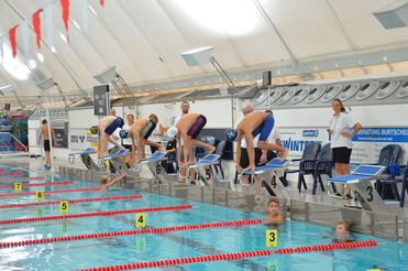 Sechs Schwimmer starten vom Sprungbrett in ein Schwimmbecken, Zuschauer und Trainer sind im Hintergrund sichtbar.