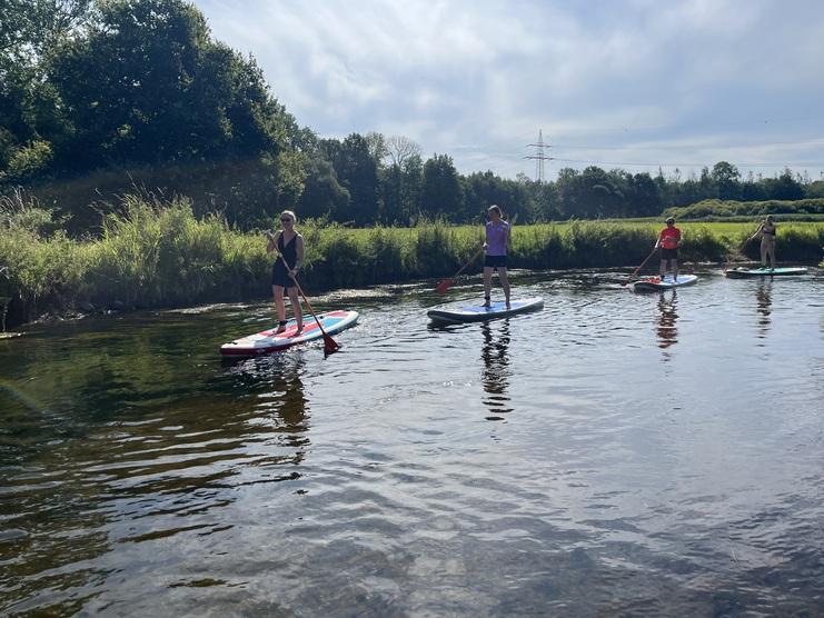 Vier Personen stehen auf Stand-Up-Paddle-Boards auf einem ruhigen Wasserweg, umgeben von grüner Ufervegetation.