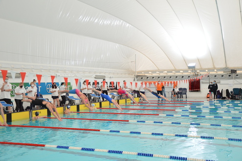 Schwimmerinnen starten synchron von den Blocken in ein Sportbecken während eines Wettkampfs in einer Schwimmhalle.