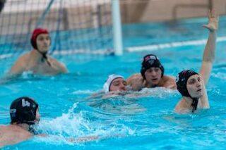 Vier Wasserballspieler k&auml;mpfen im blauen Wasser um den Ball. Ein Spieler hebt die Hand, um anzuschlie&szlig;en.
