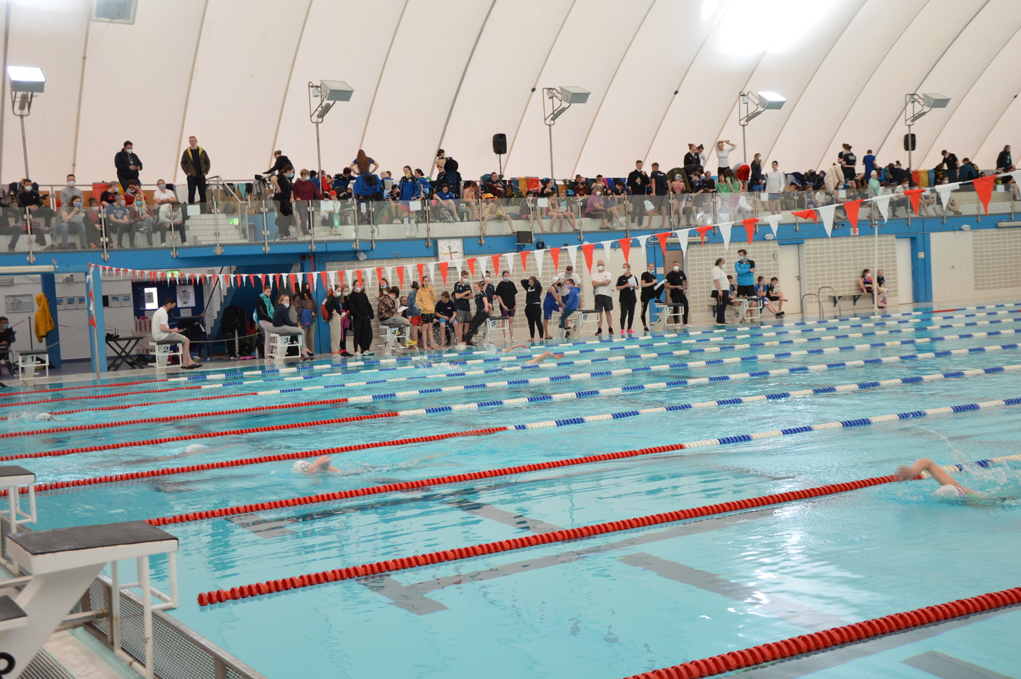 Schwimmbecken mit Wettkampfbahnen und Zuschauern auf einer Tribüne in einer Halle während eines Schwimmwettbewerbs.