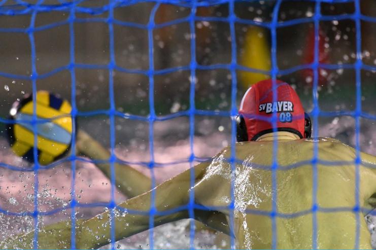 Wasserballspieler in Aktion, mit gelbem Ball, unter blauem Netz bei einem Bundesliga-Spiel am 29.10.2022.