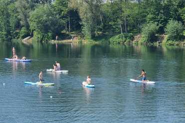 Mehrere Personen paddeln auf Stand-Up-Paddle-Boards auf einem ruhigen Gewässer, umgeben von Bäumen und Kiesstrand.