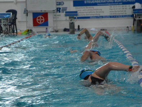 Schwimmer trainieren in einem Hallenbad, verschiedene Schwimmstile in blauer, welliger Wasseroberfl&auml;che.