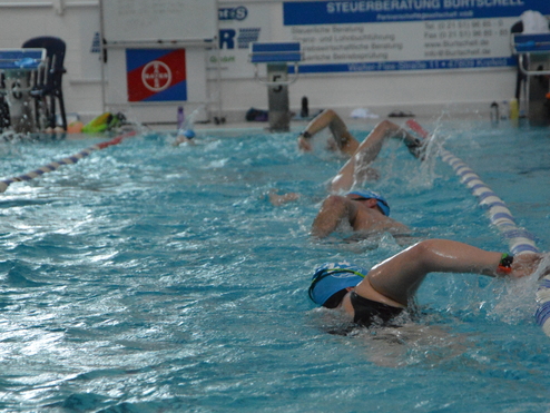 Schwimmer trainieren in einem Hallenbad, verschiedene Schwimmstile in blauer, welliger Wasseroberfläche.