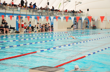 Schwimmbecken mit mehreren Bahnen, Teilnehmern auf Stühlen und Zuschauern auf der Tribüne. Wettkampf im Schwimmen.