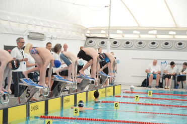 Schwimmer bereiten sich auf den Start von Wettkämpfen an der Startblöcken in einem Hallenbad vor. Zuschauer beobachten das Geschehen.