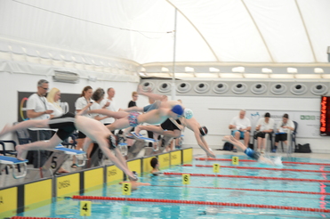 Wettkampf im Hallenbad: Schwimmer springen synchron ins Wasser, Zuschauer verfolgen das Geschehen am Beckenrand.