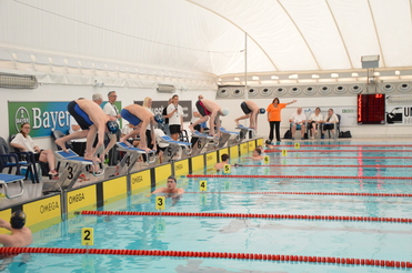Schwimmer starten von den Startblöcken in einem Schwimmbecken während eines Wettkampfs. Zuschauer und Offizielle beobachten.