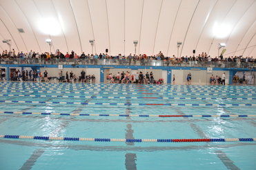 Schwimmbecken mit bunten Bahnen und zahlreichen Zuschauern auf einer Tribüne im Hintergrund.