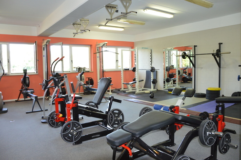 Fitnessraum mit verschiedenen Trainingsgeräten, Hanteln und einem Cardiogerät unter Tageslicht durch große Fenster.