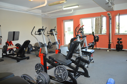 Fitnessraum mit verschiedenen Trainingsgeräten, wie Kurzhanteln, Laufmaschinen und einem Rudergerät, in hellen Farben.