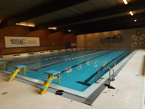 Innenansicht eines Schwimmbeckens mit blauen Startblöcken und einer Wand mit einem Banner über 100 Jahre SV Bayer.