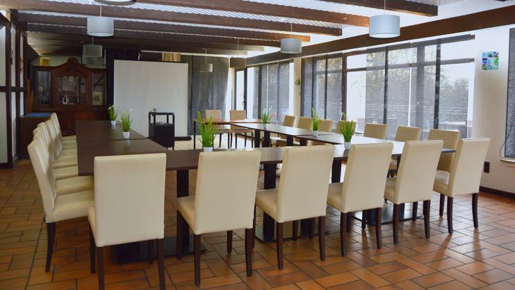 Konferenzraum mit langem Tisch, weißen Stühlen und Pflanzen auf der Tischoberfläche, hell erleuchtet durch große Fenster.